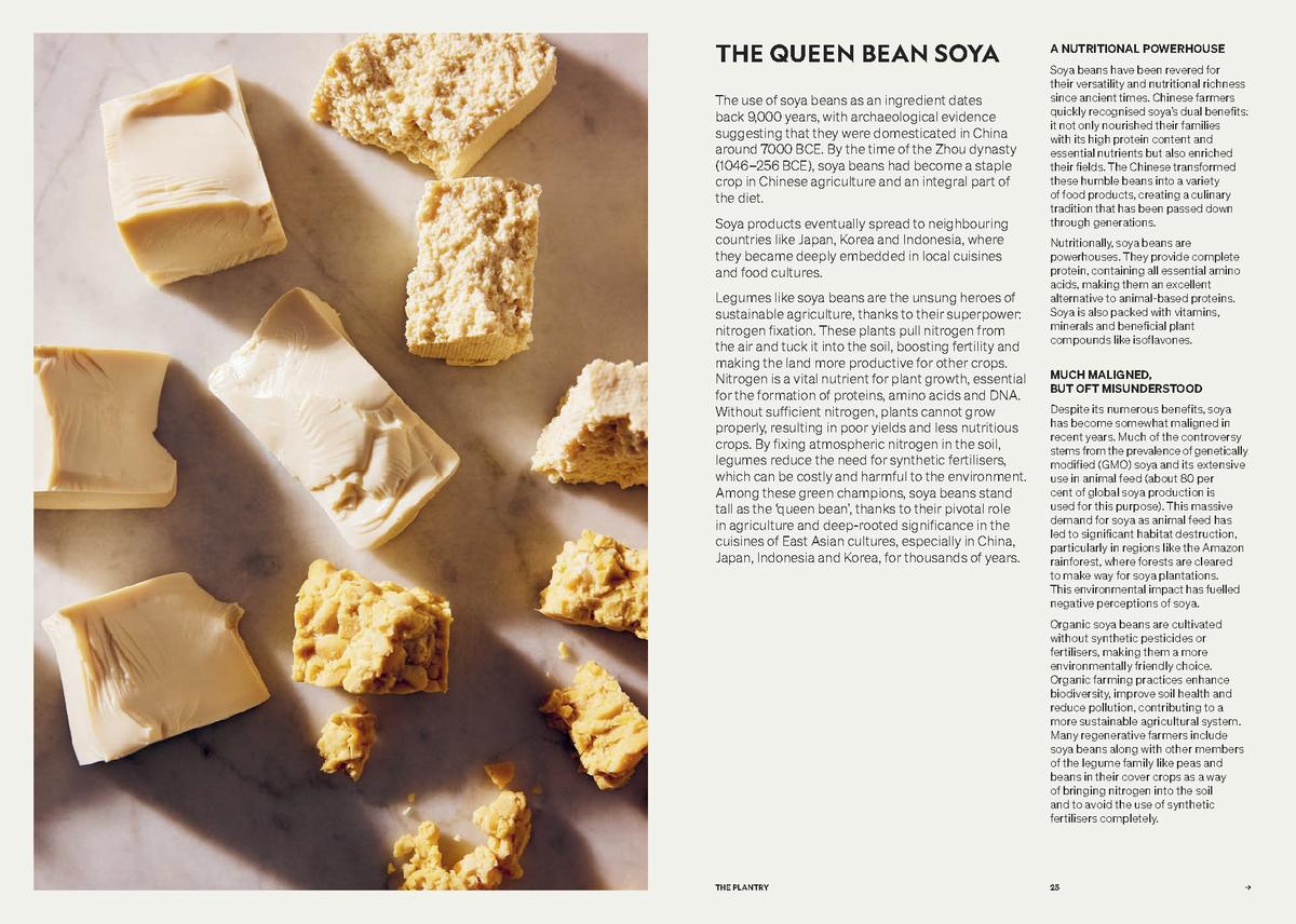 Beyond Baking: Plant-based Baking for a New Era - Philip Khoury - Image 5
