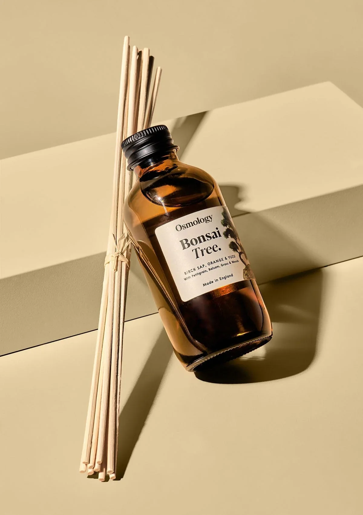 Bonsai Tree 3.4 fl oz Amber Diffuser (40% off at checkout) - Image 2