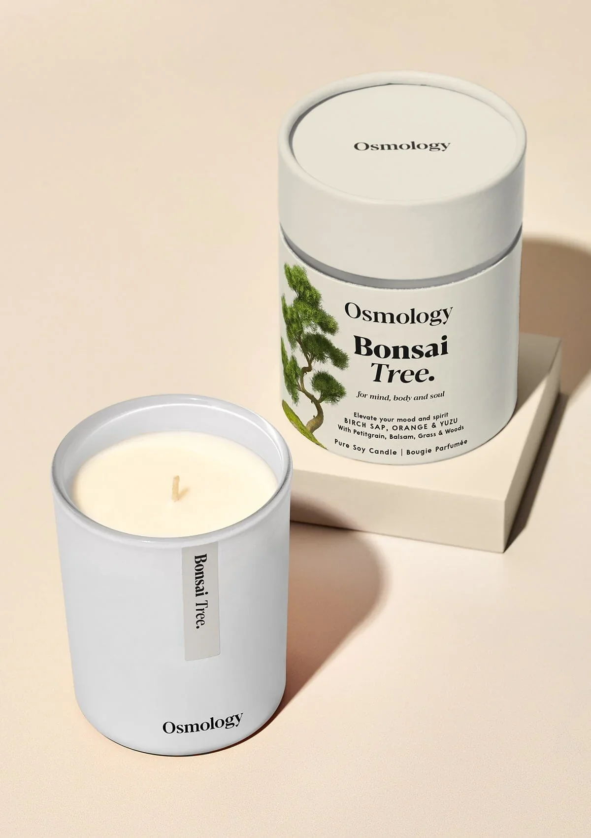 Bonsai Tree 7 oz Candle - Birch Sap Orange and Yuzu (40% off at checkout) - Image 2