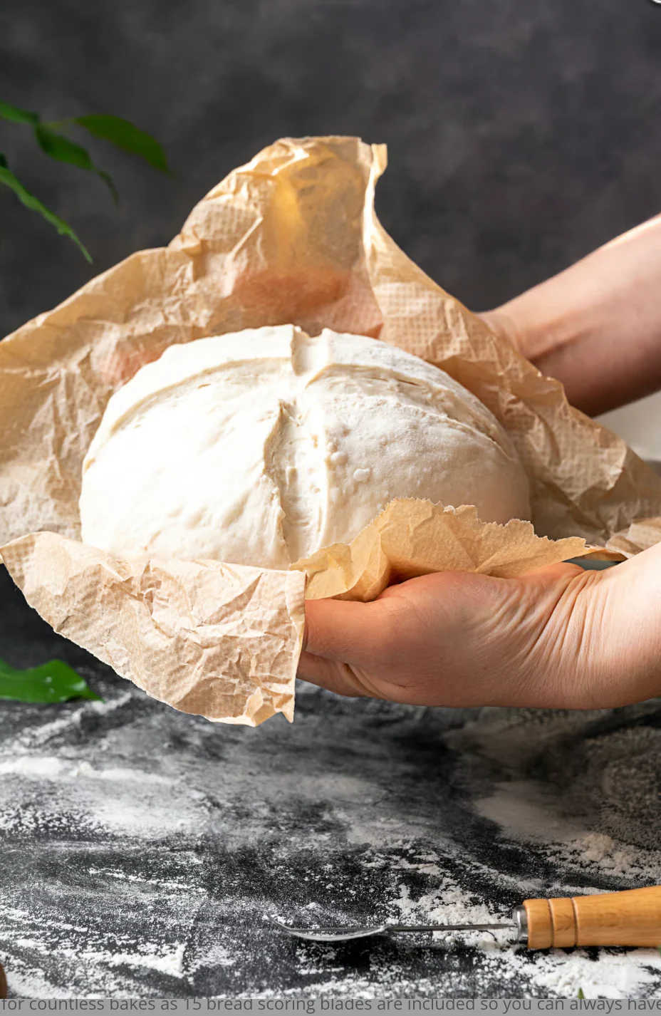Bread Lame - Image 3