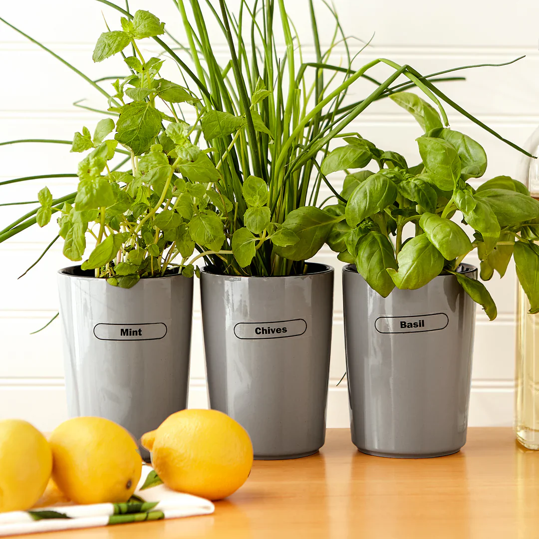 Clear Spice Labels S/84 - Image 6