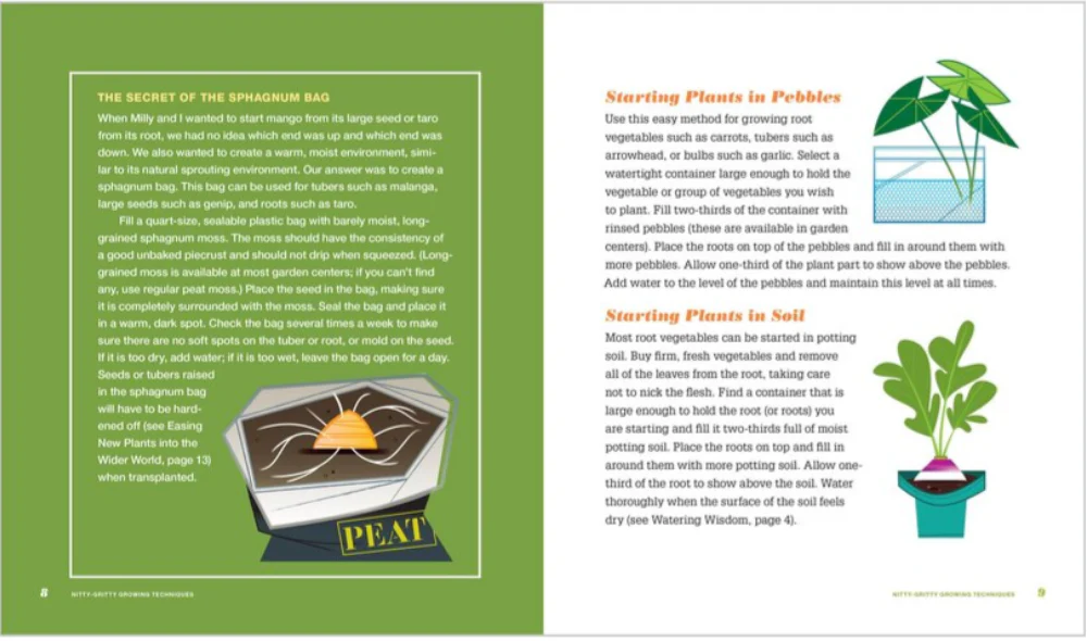 Don't Throw It, Grow It, (Second Edition): 68 Windowsill Plants from Kitchen Scraps - Deborah Peterson & Millicent Selsam - Image 2
