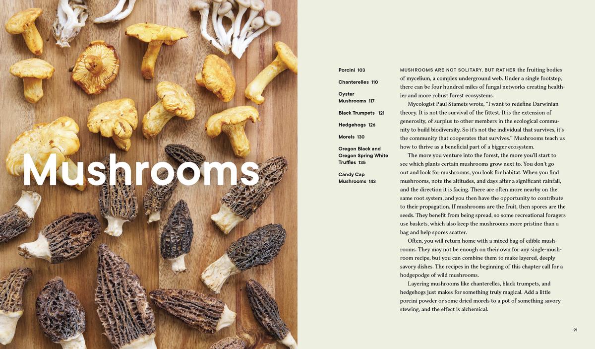 Forage. Gather. Feast.: 100+ Recipes from West Coast Forests, Shores, and Urban Spaces - Maria Finn & Marla Aufmuth - Image 10