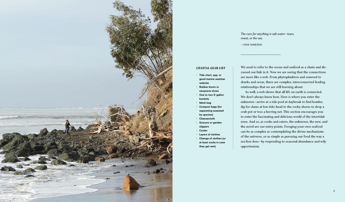 Forage. Gather. Feast.: 100+ Recipes from West Coast Forests, Shores, and Urban Spaces - Maria Finn & Marla Aufmuth - Image 5