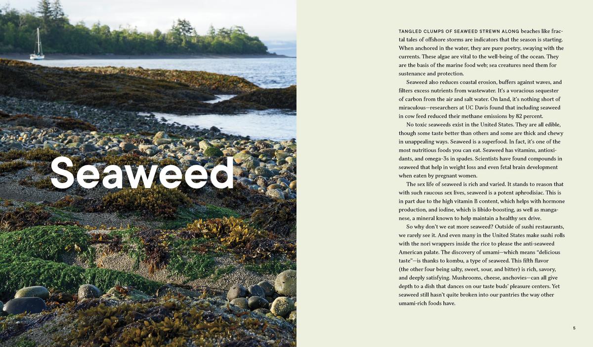 Forage. Gather. Feast.: 100+ Recipes from West Coast Forests, Shores, and Urban Spaces - Maria Finn & Marla Aufmuth - Image 6