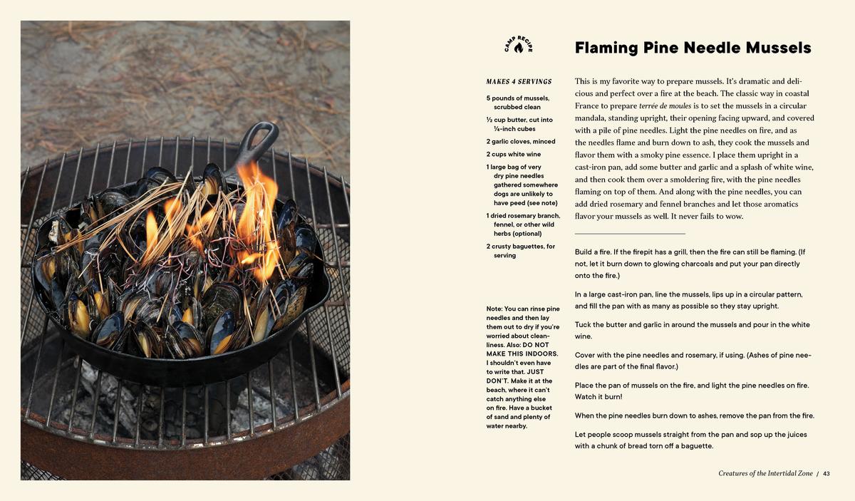 Forage. Gather. Feast.: 100+ Recipes from West Coast Forests, Shores, and Urban Spaces - Maria Finn & Marla Aufmuth - Image 8