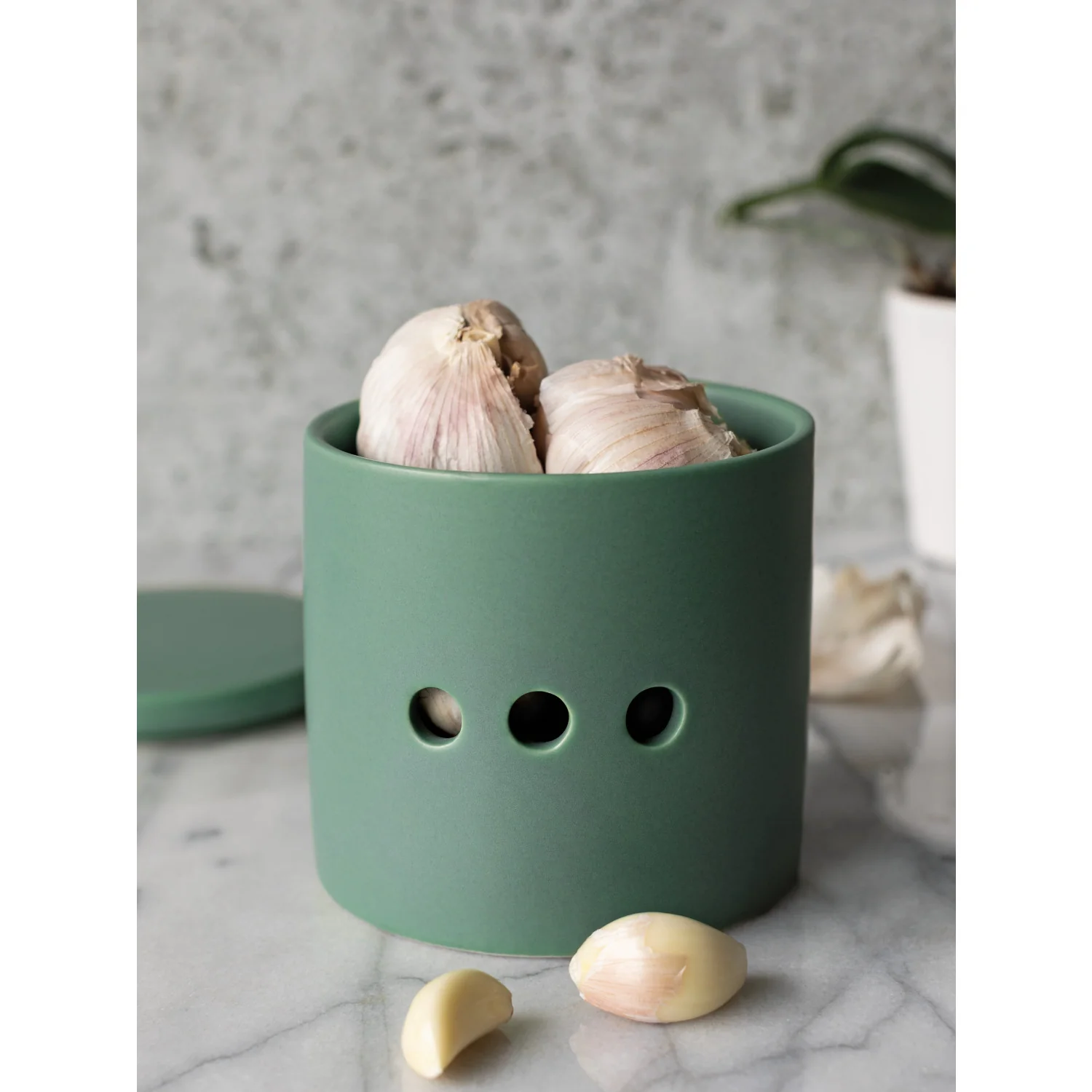 Garlic Keeper - Matte Elm Green - Image 2