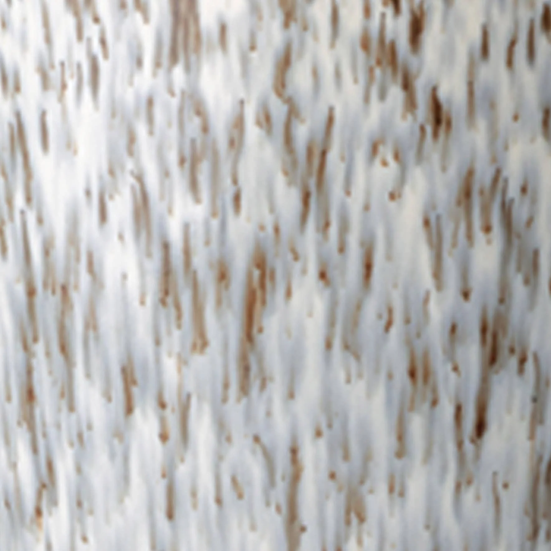 Halo Speckled Ramen/Large Noodle Bowl Stoneware - Image 3