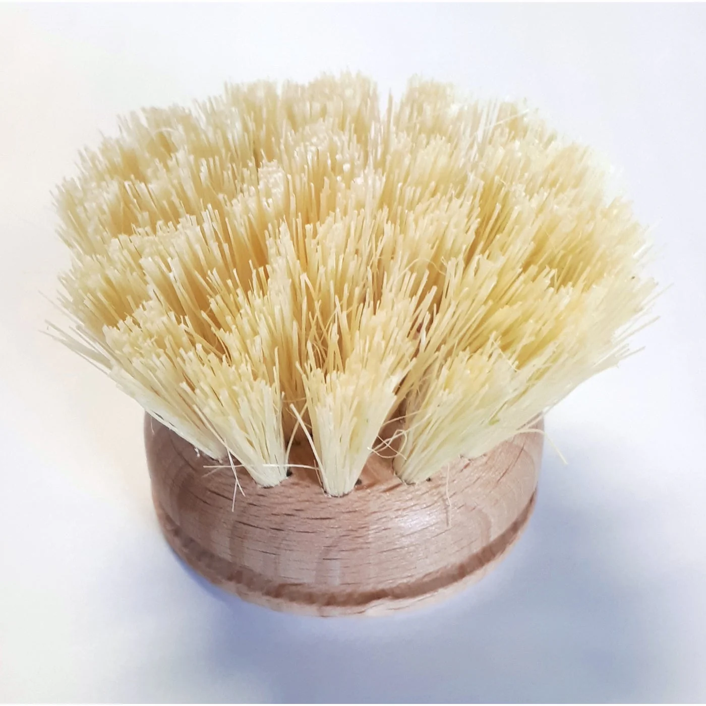 Haug Bursten Dish Brush Replacement Head - Wood - 7cm