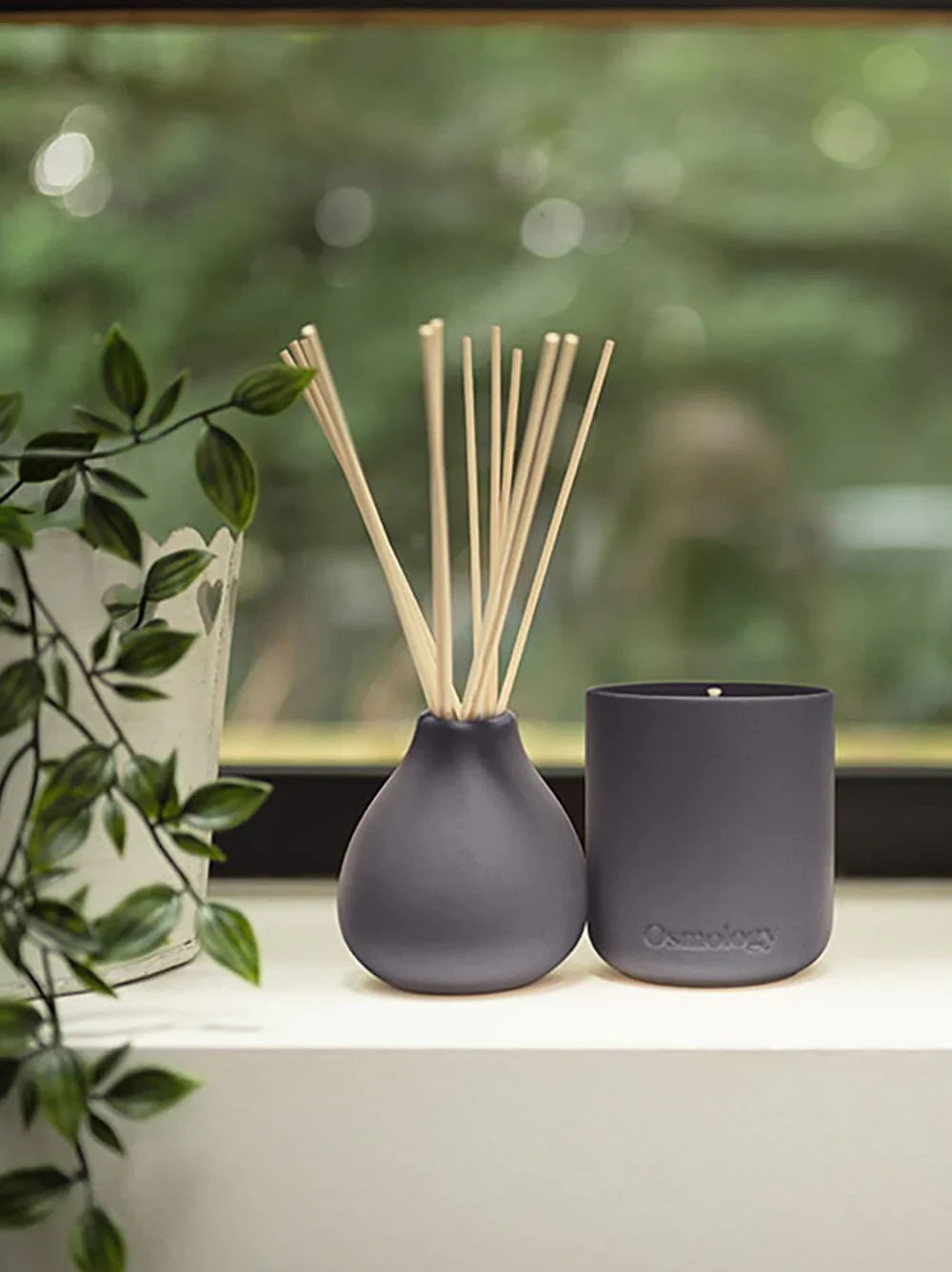 Indian Sandalwood 7 fl oz Reed Diffuser - Pepper Raspberry and Tonka (40% off at checkout) - Image 3