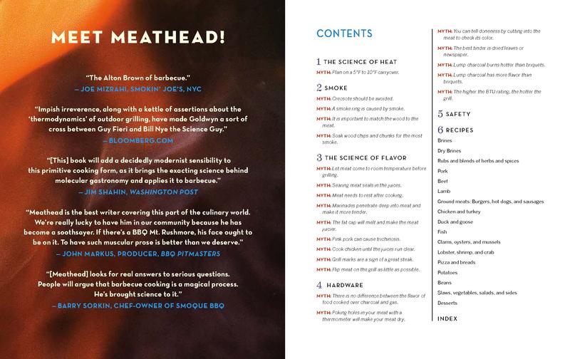 Meathead - Meathead Goldwyn - Image 2