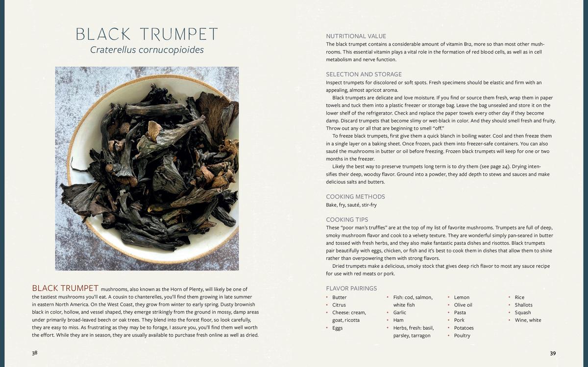 Mushroom Gastronomy - Krista Towns - Image 4