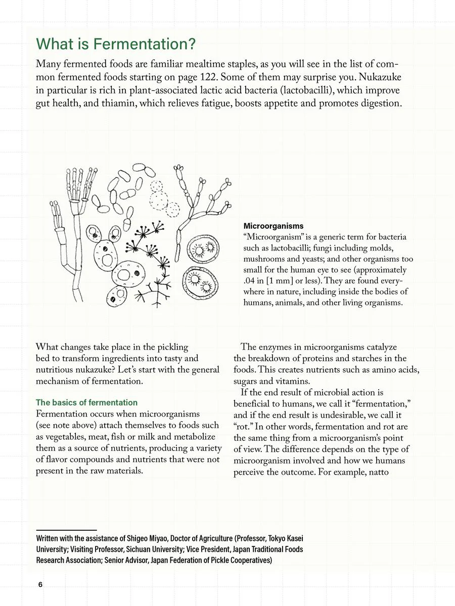 Nukazuke The Japanese Art of Fermented Pickling - Nami Yamada - Image 6