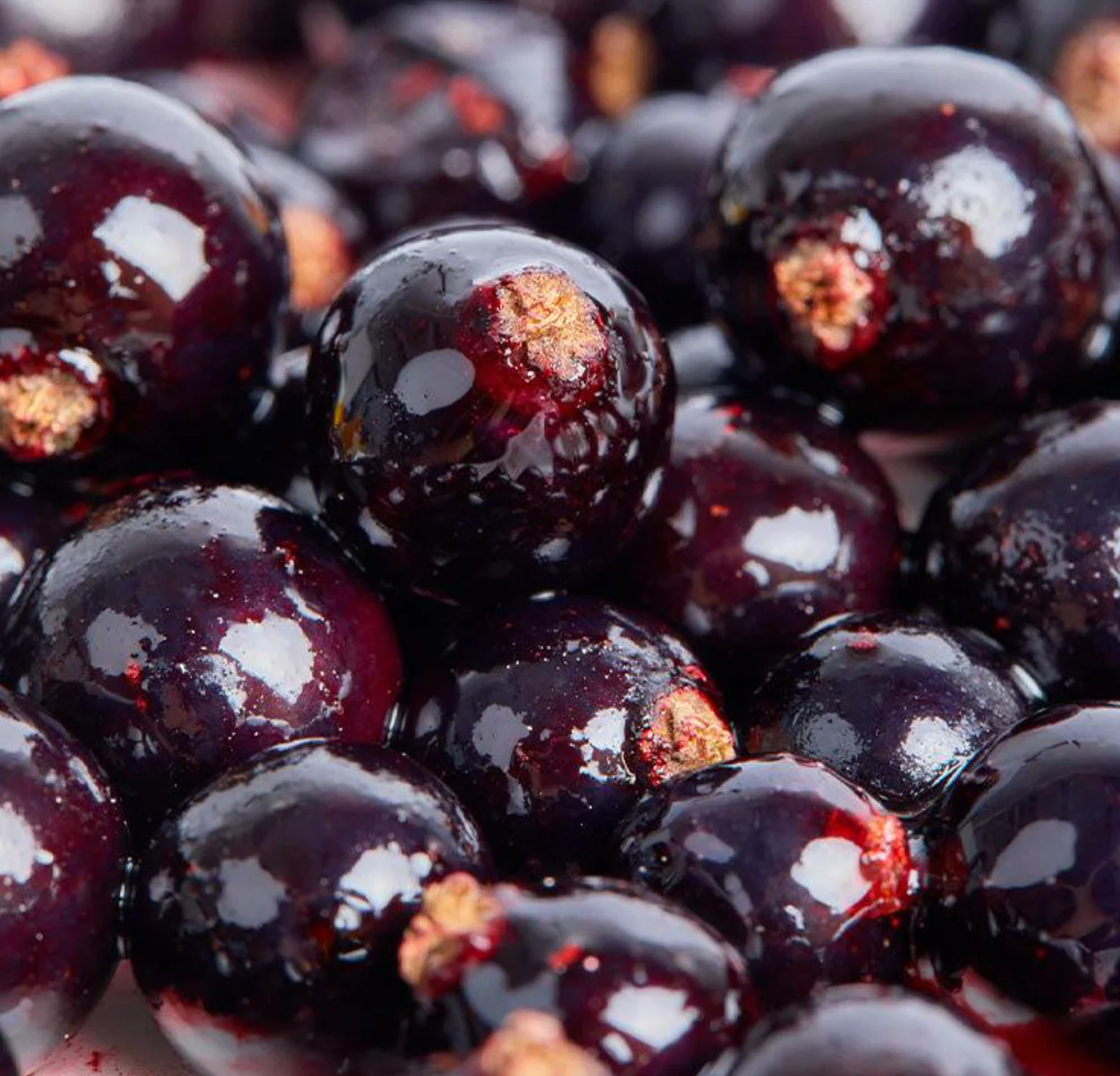 Single Variety Co. Ben Tirran Blackcurrant Preserve - 190ml - Image 3