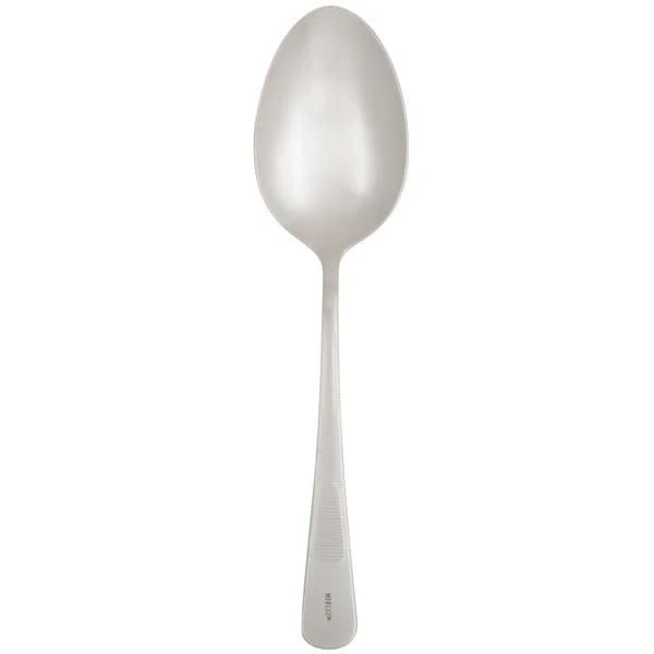 SS Solid Bowl Plating Spoon - 9"