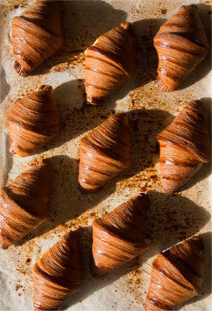 Sourdough Panettone & Viennoiserie - Thomas Teffri-Chambelland - Image 8