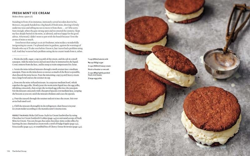 The Perfect Scoop **REVISED** - David Lebovitz - Image 6
