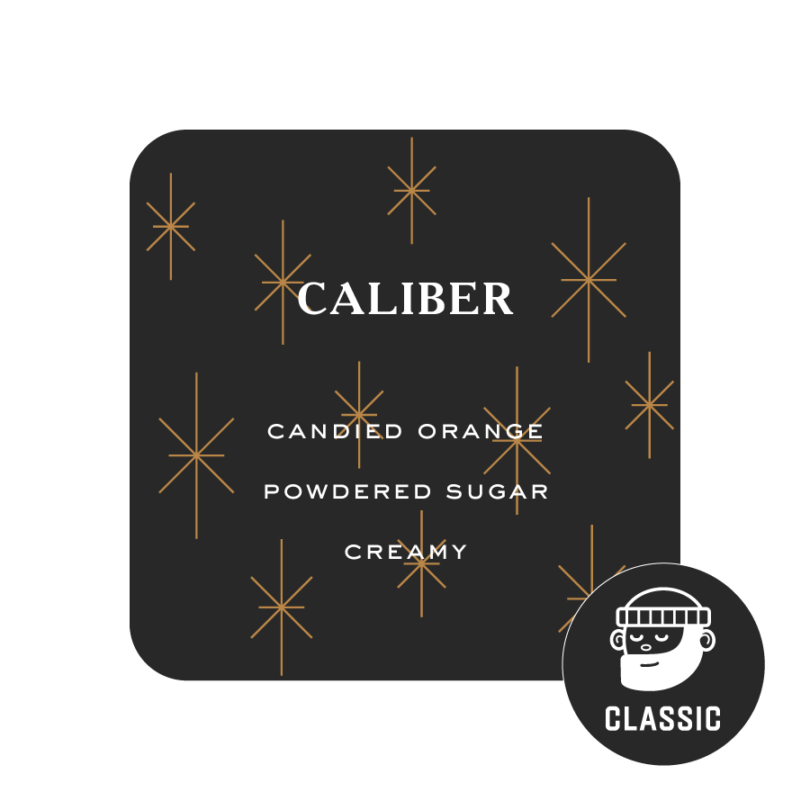 Timbertrain coffee beans - Caliber - candied orange, powdered sugar 227 g - Image 2